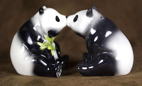 salt-panda-1